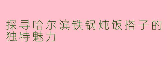 探寻哈尔滨铁锅炖饭搭子的独特魅力