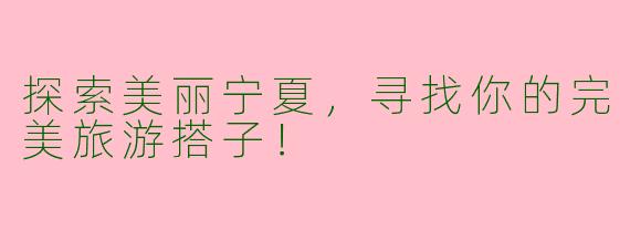 探索美丽宁夏,寻找你的完美旅游搭子!