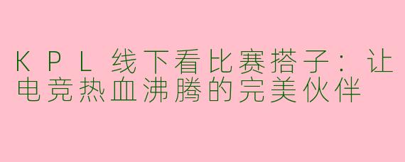 KPL线下看比赛搭子：让电竞热血沸腾的完美伙伴
