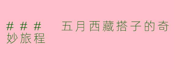 ### 五月西藏搭子的奇妙旅程
