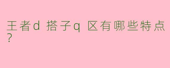 王者d搭子q区有哪些特点?