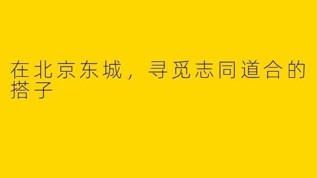 在北京东城，寻觅志同道合的搭子