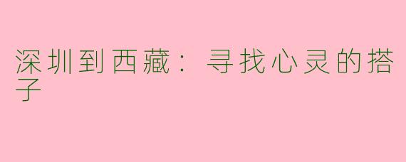 深圳到西藏：寻找心灵的搭子