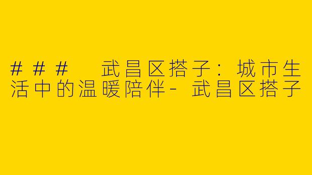 ### 武昌区搭子:城市生活中的温暖陪伴