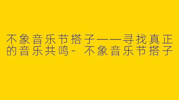 不象音乐节搭子——寻找真正的音乐共鸣-不象音乐节搭子