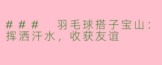 ### 羽毛球搭子宝山：挥洒汗水，收获友谊