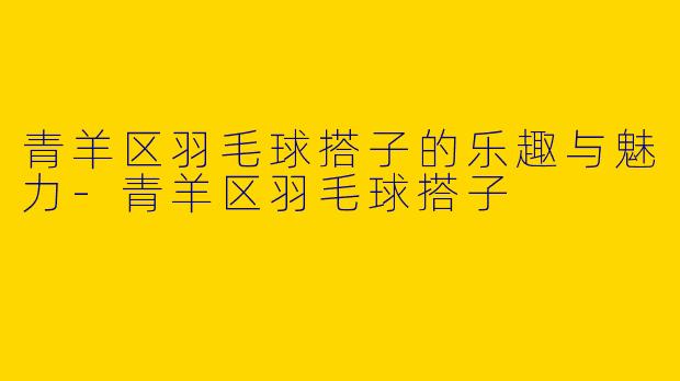 青羊区羽毛球搭子的乐趣与魅力-青羊区羽毛球搭子