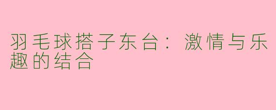 羽毛球搭子东台:激情与乐趣的结合