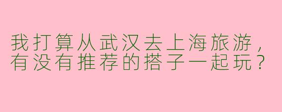 我打算从武汉去上海旅游,有没有推荐的搭子一起玩?