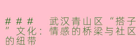 ### 武汉青山区“搭子”文化：情感的桥梁与社区的纽带