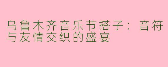 乌鲁木齐音乐节搭子：音符与友情交织的盛宴