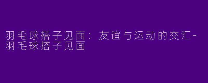 羽毛球搭子见面：友谊与运动的交汇-羽毛球搭子见面
