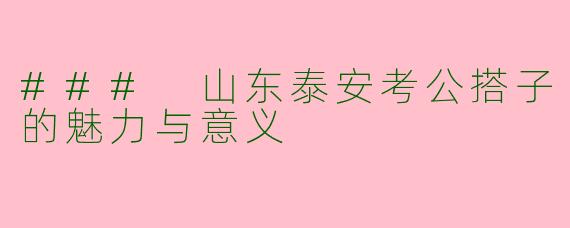### 山东泰安考公搭子的魅力与意义