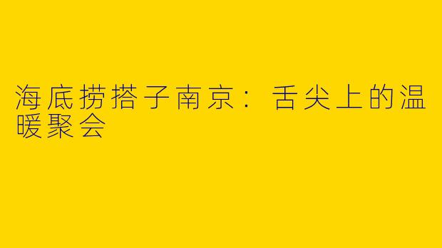 海底捞搭子南京：舌尖上的温暖聚会