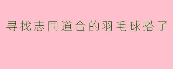 寻找志同道合的羽毛球搭子