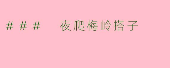 ### 夜爬梅岭搭子
