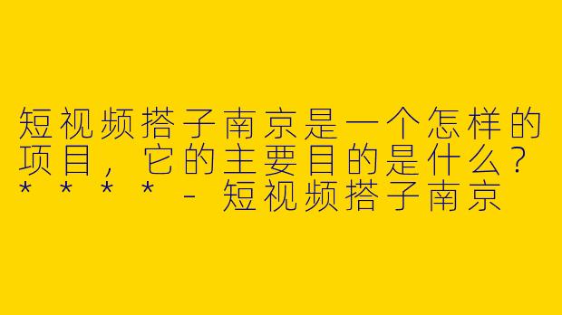 短视频搭子南京是一个怎样的项目，它的主要目的是什么？****