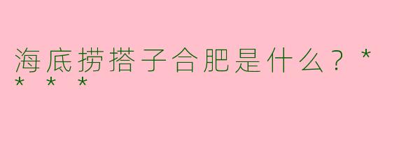 海底捞搭子合肥是什么？****