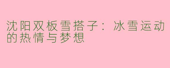 沈阳双板雪搭子：冰雪运动的热情与梦想