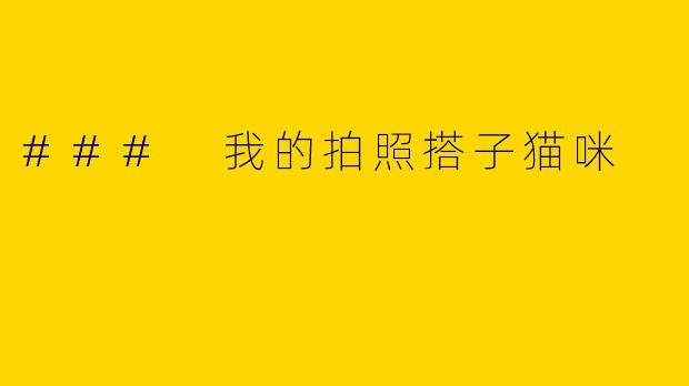 ### 我的拍照搭子猫咪