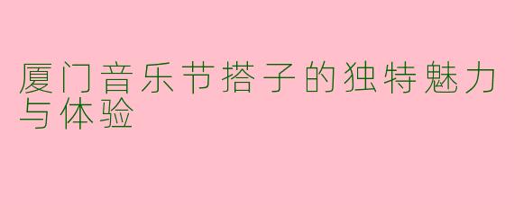 厦门音乐节搭子的独特魅力与体验