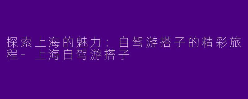 探索上海的魅力：自驾游搭子的精彩旅程-上海自驾游搭子