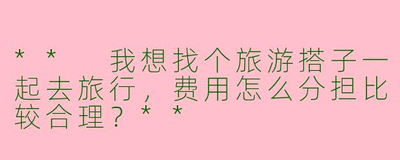 ** 我想找个旅游搭子一起去旅行，费用怎么分担比较合理？**