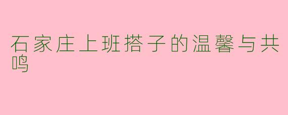石家庄上班搭子的温馨与共鸣