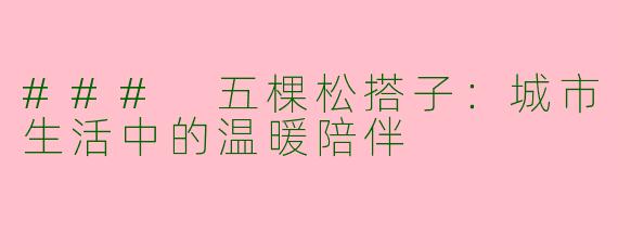 ### 五棵松搭子：城市生活中的温暖陪伴