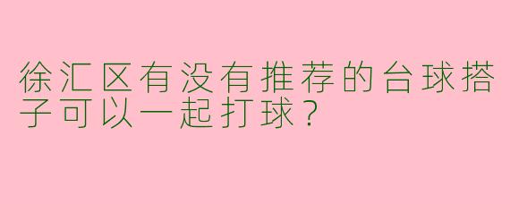 徐汇区有没有推荐的台球搭子可以一起打球？