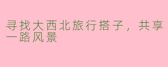 寻找大西北旅行搭子,共享一路风景