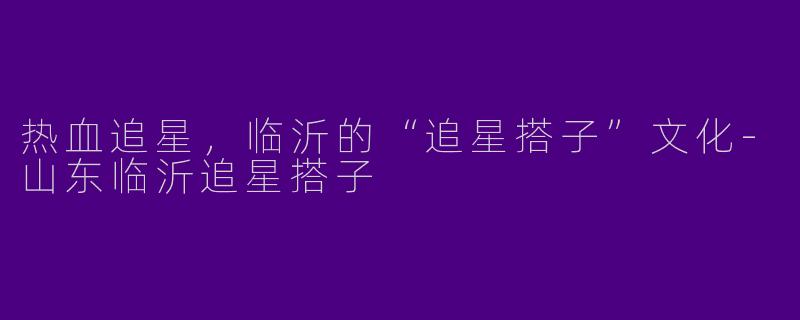 热血追星，临沂的“追星搭子”文化-山东临沂追星搭子