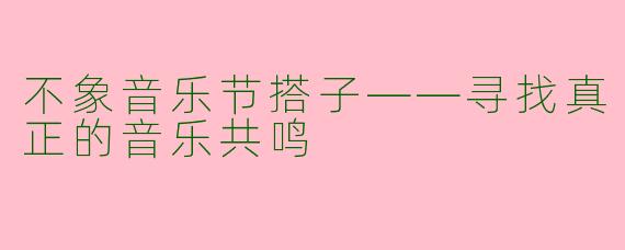 不象音乐节搭子——寻找真正的音乐共鸣