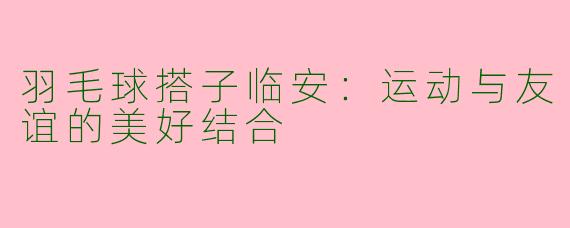 羽毛球搭子临安：运动与友谊的美好结合