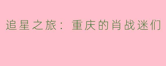 追星之旅:重庆的肖战迷们