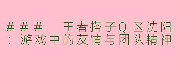 ### 王者搭子Q区沈阳：游戏中的友情与团队精神