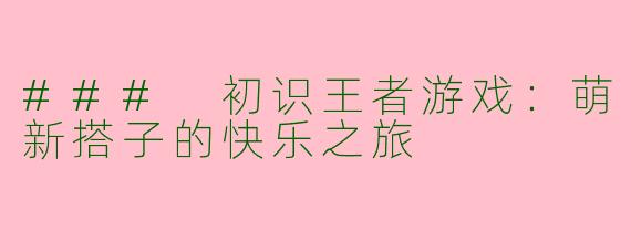 ### 初识王者游戏：萌新搭子的快乐之旅