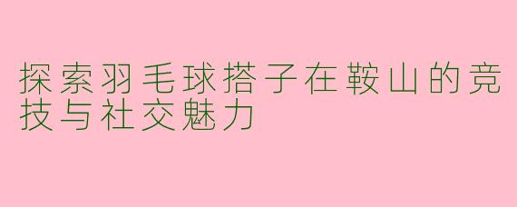 探索羽毛球搭子在鞍山的竞技与社交魅力