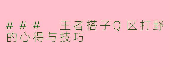 ### 王者搭子Q区打野的心得与技巧