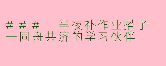 ### 半夜补作业搭子——同舟共济的学习伙伴