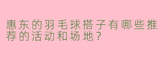 惠东的羽毛球搭子有哪些推荐的活动和场地?