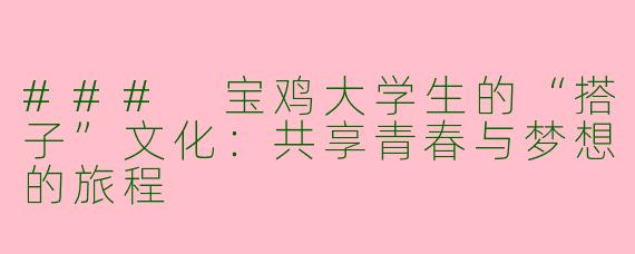 ### 宝鸡大学生的“搭子”文化：共享青春与梦想的旅程