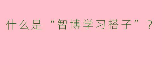 什么是“智博学习搭子”？  
