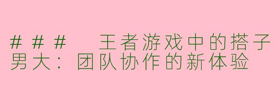 ### 王者游戏中的搭子男大:团队协作的新体验