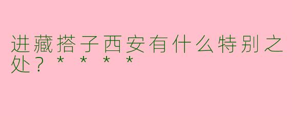 进藏搭子西安有什么特别之处？****