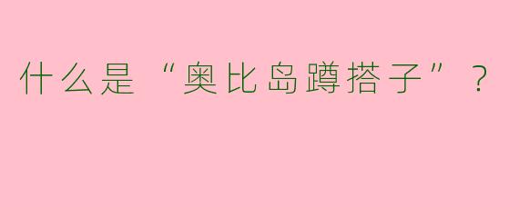 什么是“奥比岛蹲搭子”?