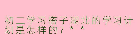 初二学习搭子湖北的学习计划是怎样的？**
