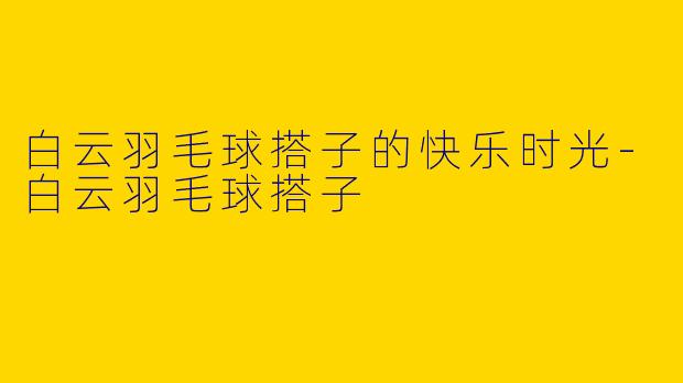 白云羽毛球搭子的快乐时光