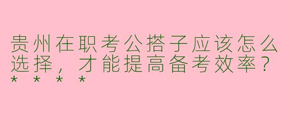 贵州在职考公搭子应该怎么选择，才能提高备考效率？****