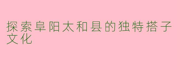 探索阜阳太和县的独特搭子文化